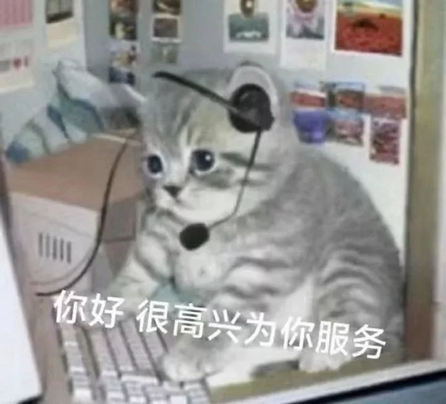 很高兴为你服务