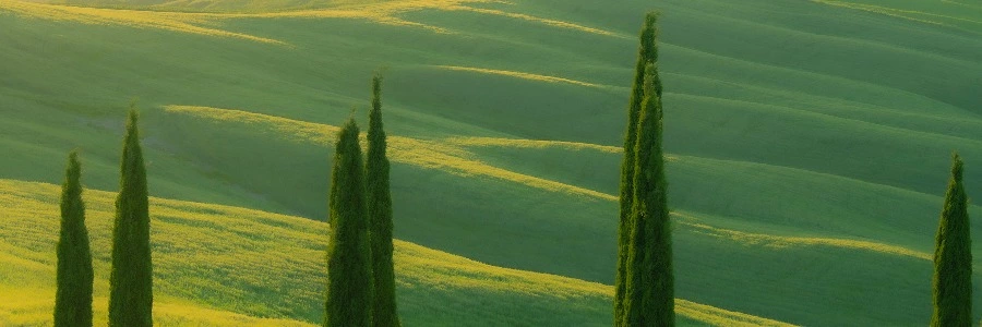     浮沉网中几十年，墨痕织就星河卷。调弦暗理焦尾柱，落子明破纹枰劫。笑看残局生鹤发，冷观焦痕沸松雪。键盘犹带烽烟色，初心仍似初拨线。Welcome to ZIYEGE
