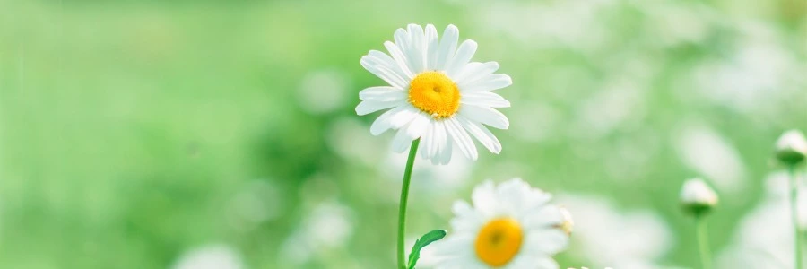 Welcome to ZIYEGE.COM