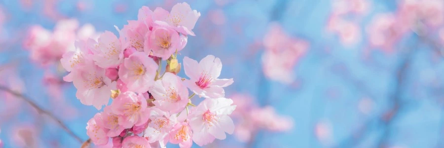 Welcome to ZIYEGE.COM