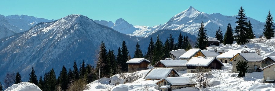 浮沉网中几十年，墨痕织就星河卷。调弦暗理焦尾柱，落子明破纹枰劫。<p>笑看残局生鹤发，冷观焦痕沸松雪。键盘犹带烽烟色，初心仍似初拨线。