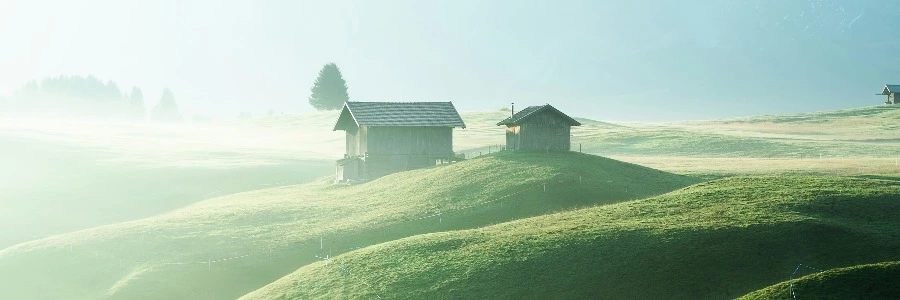 浮沉网中几十年，墨痕织就星河卷。调弦暗理焦尾柱，落子明破纹枰劫。<p>笑看残局生鹤发，冷观焦痕沸松雪。键盘犹带烽烟色，初心仍似初拨线。