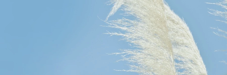 浮沉网中几十年，墨痕织就星河卷。调弦暗理焦尾柱，落子明破纹枰劫。<p>笑看残局生鹤发，冷观焦痕沸松雪。键盘犹带烽烟色，初心仍似初拨线。