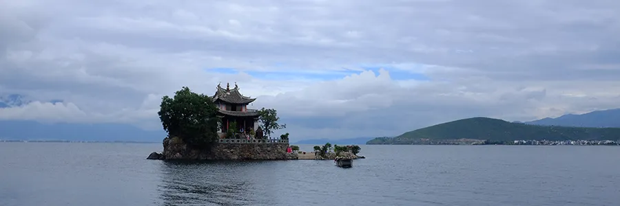 浮沉网中几十年，墨痕织就星河卷。调弦暗理焦尾柱，落子明破纹枰劫。<p>笑看残局生鹤发，冷观焦痕沸松雪。键盘犹带烽烟色，初心仍似初拨线。