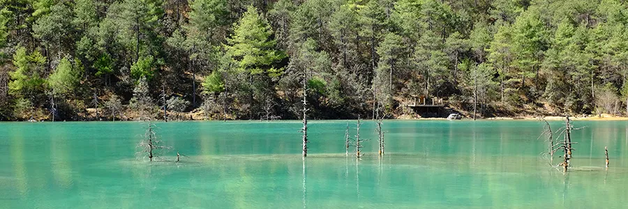 浮沉网中几十年，墨痕织就星河卷。调弦暗理焦尾柱，落子明破纹枰劫。<p>笑看残局生鹤发，冷观焦痕沸松雪。键盘犹带烽烟色，初心仍似初拨线。