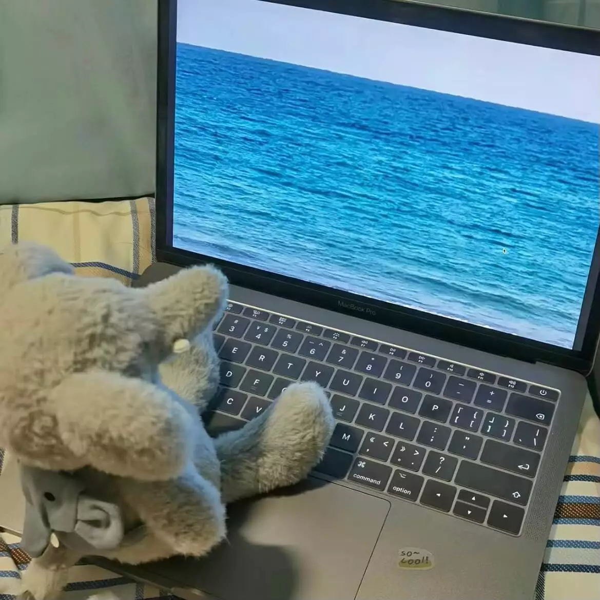 99%的人不知道的中国历史（二）