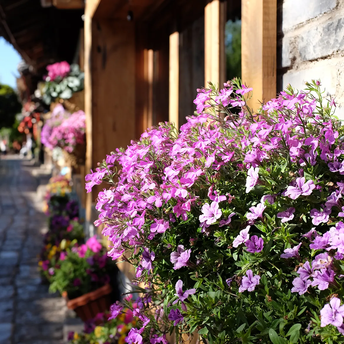 Typecho 文章内容分页插件