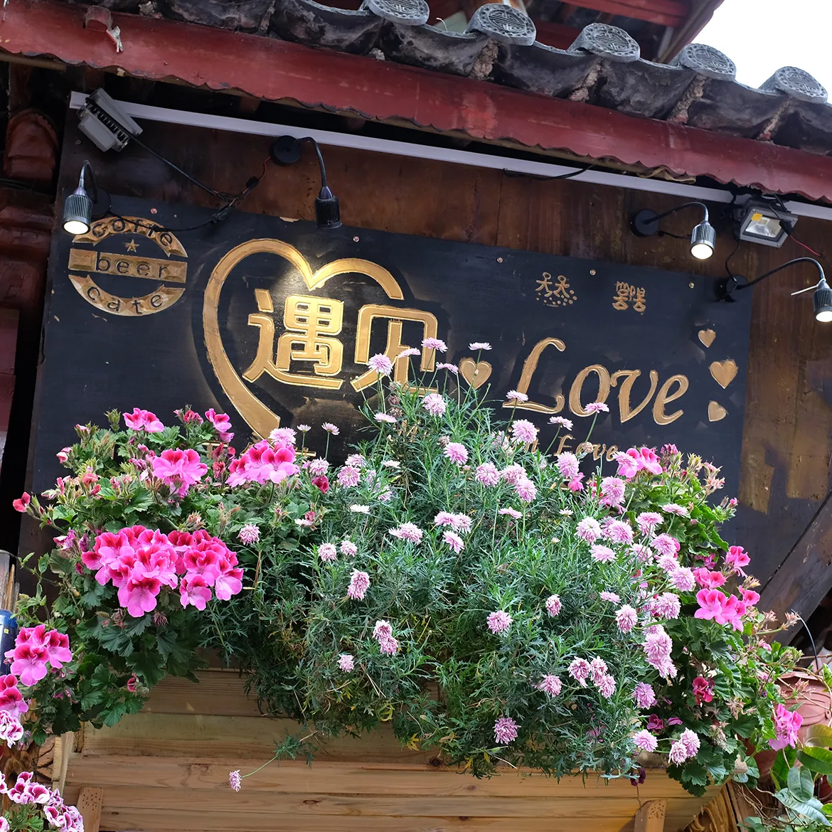 Typecho常用主题插件集合