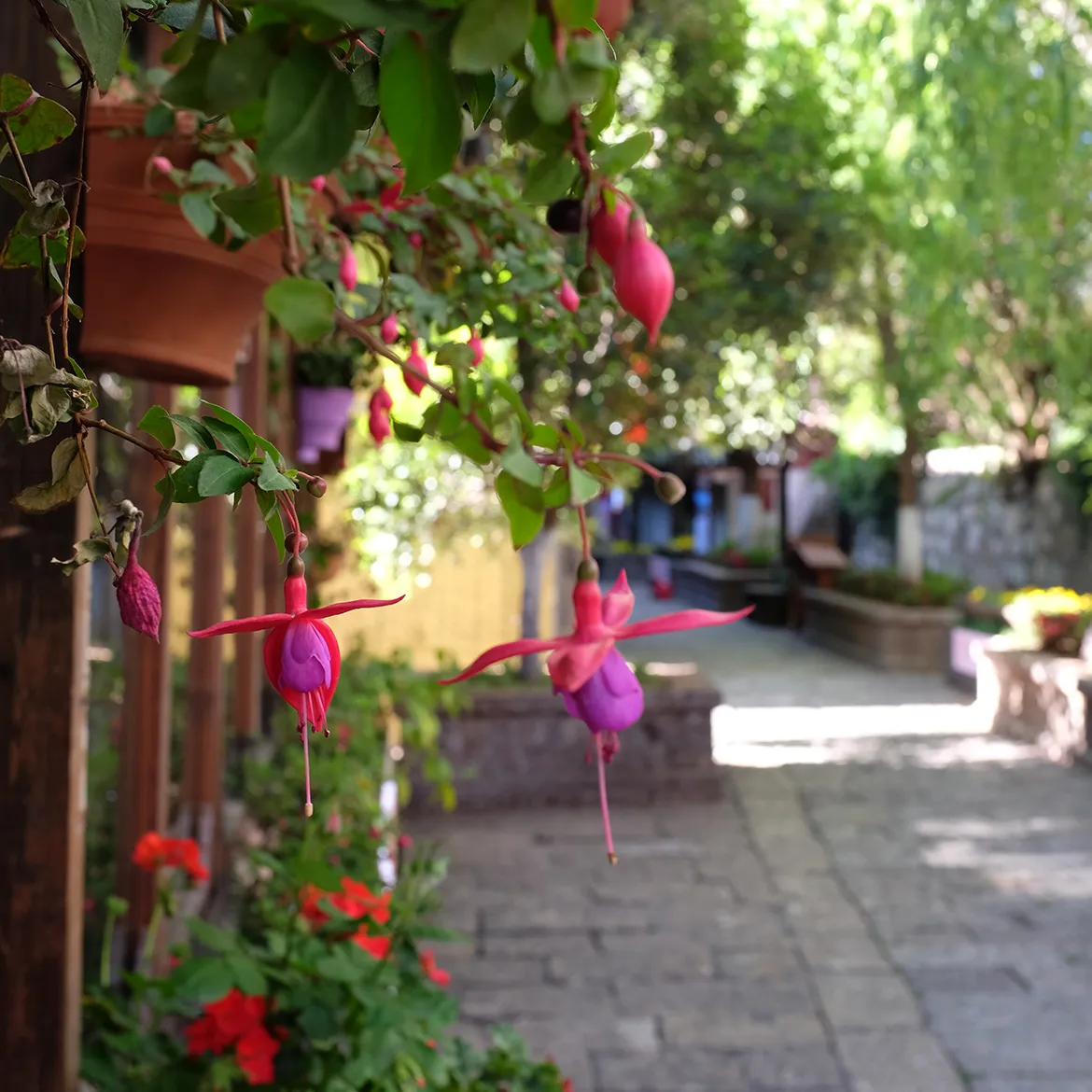 巫娜《缦学堂·丝弦》——禅意古琴专辑