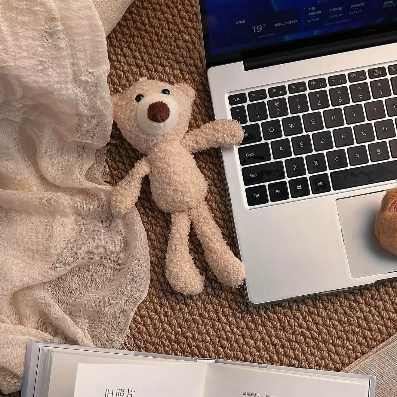 Typecho文章内容隐藏插件：评论后可见