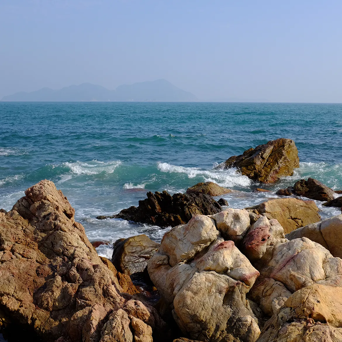 让你的下载速度起飞！IDM下载器安装与使用指南