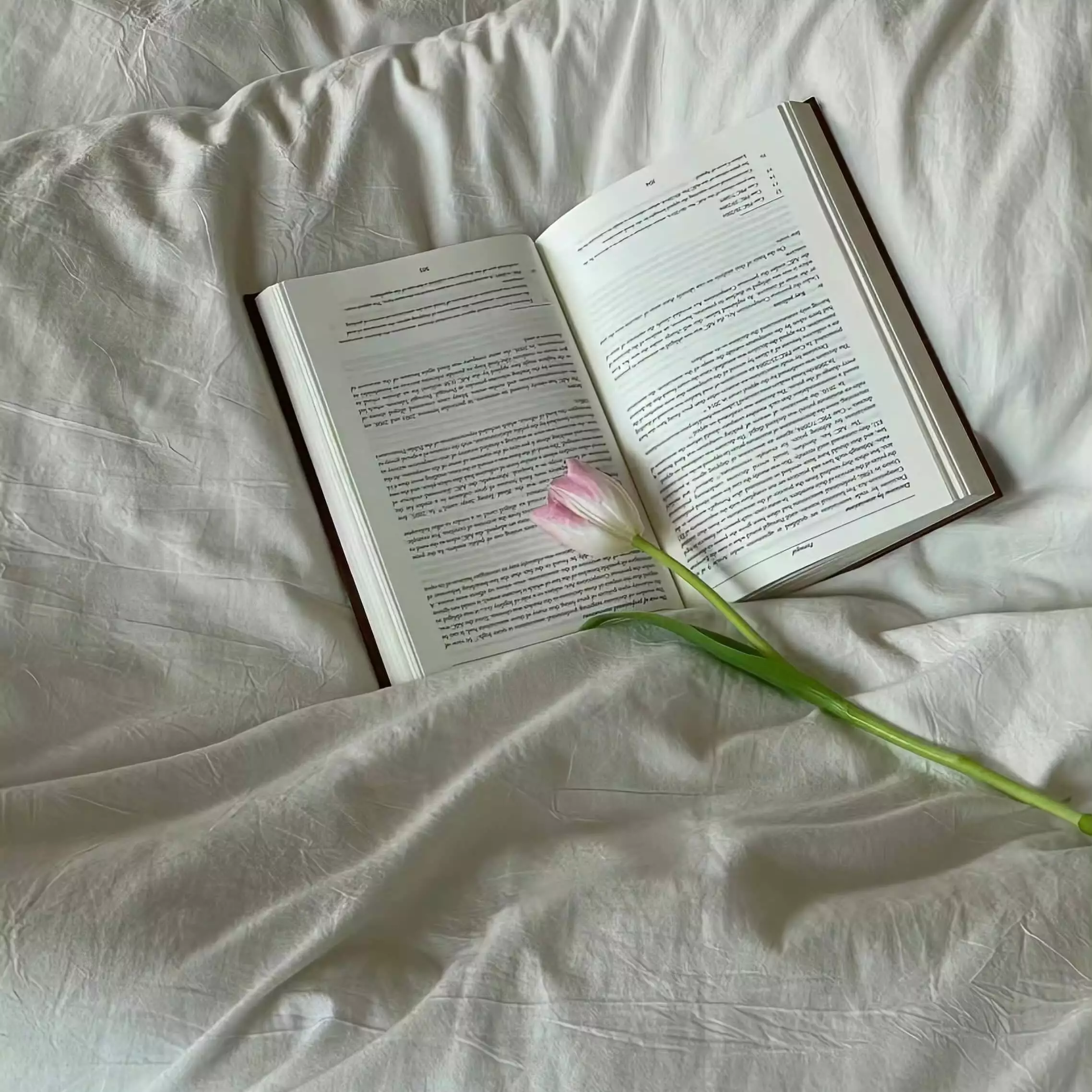 Typecho常用插件集合