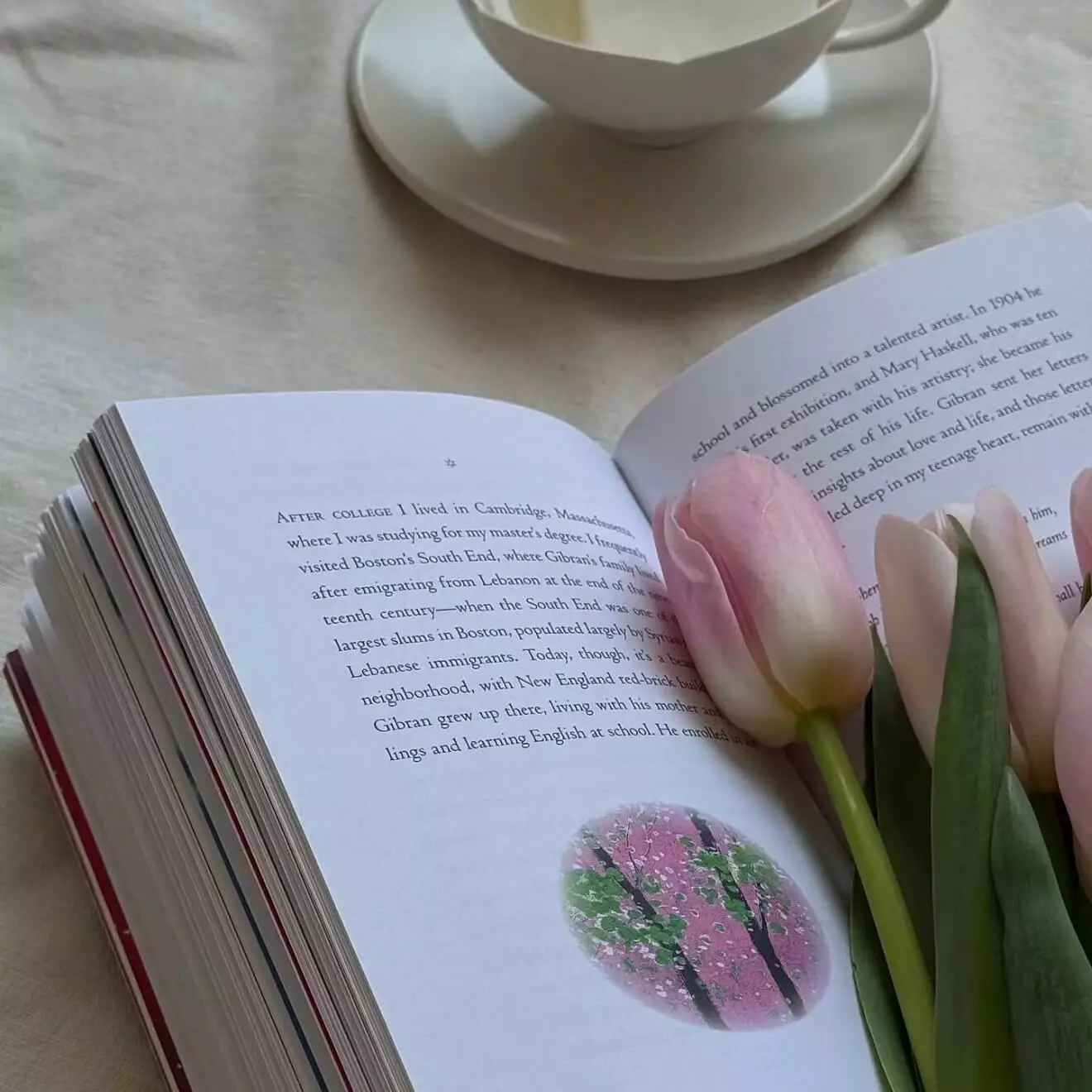 99%的人不知道的中国历史（二）