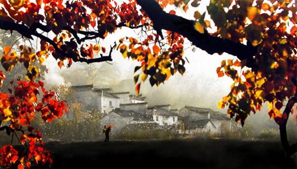 jiangnan (5).jpg jiangnan (5).jpg