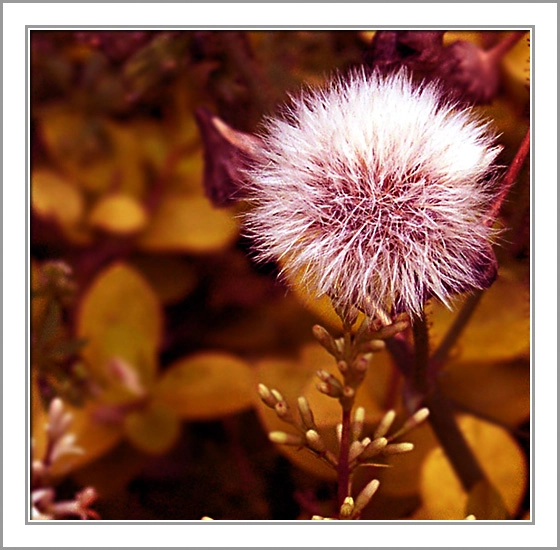 ztyz03-05.webp ztyz03-05.webp