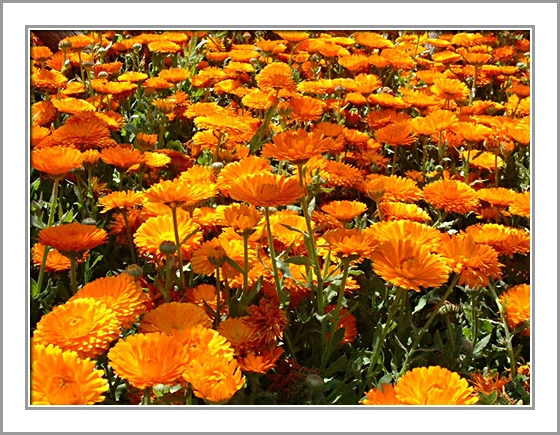 ztyz03-13.webp ztyz03-13.webp