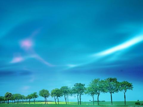 yydls003.jpg yydls003.jpg