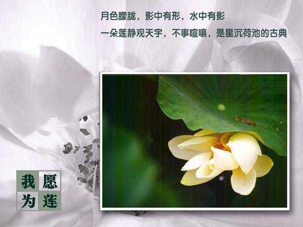 lian03.jpg lian03.jpg