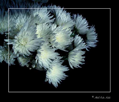 shengming (10).jpg shengming (10).jpg