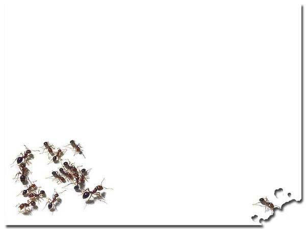 shengming (8).jpg shengming (8).jpg