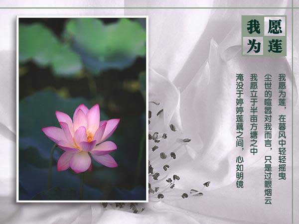 lian00.jpg lian00.jpg