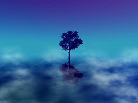 yydls002.jpg yydls002.jpg