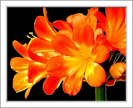 ztyz03-32.webp ztyz03-32.webp