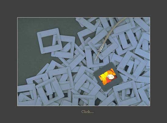 shengming (3).jpg shengming (3).jpg