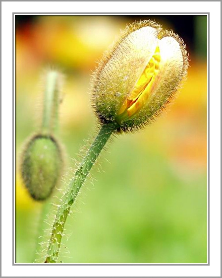 ztyz03-18.webp ztyz03-18.webp