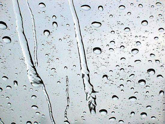 yigeren (9).jpg yigeren (9).jpg