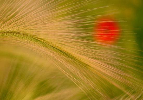 yigeren (10).jpg yigeren (10).jpg