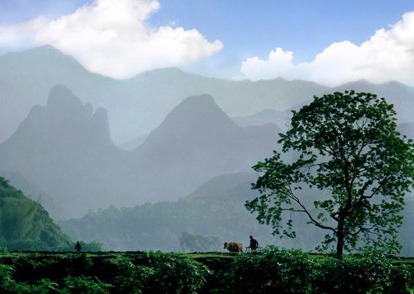 jiangnan (6).jpg jiangnan (6).jpg