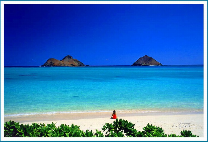 mpt004.jpg mpt004.jpg