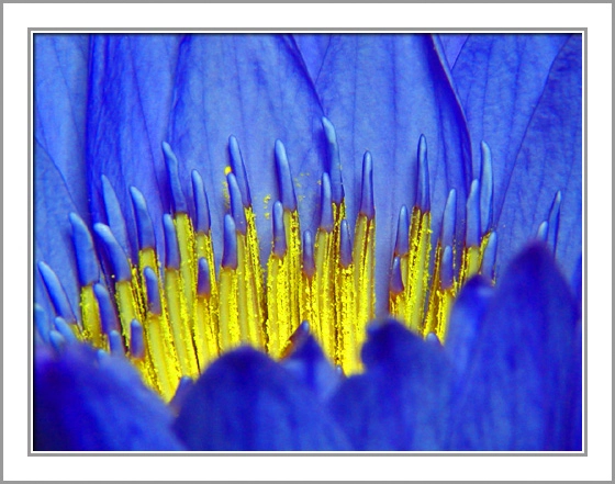 ztyz03-28.webp ztyz03-28.webp