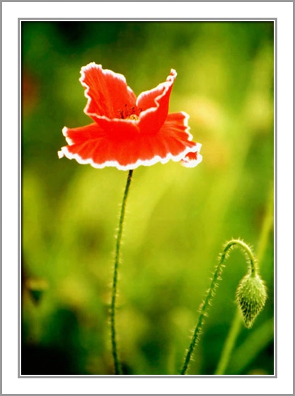 ztyz03-03.webp ztyz03-03.webp