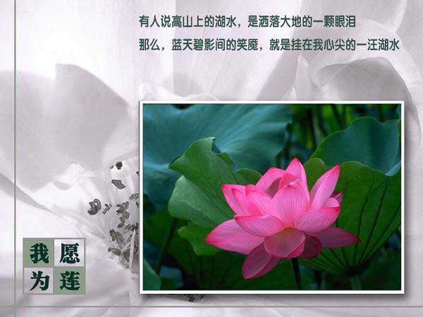 lian09.jpg lian09.jpg