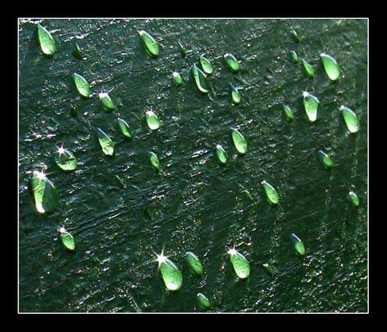 shengming (7).jpg shengming (7).jpg