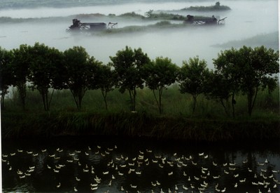 pian (7).jpg pian (7).jpg